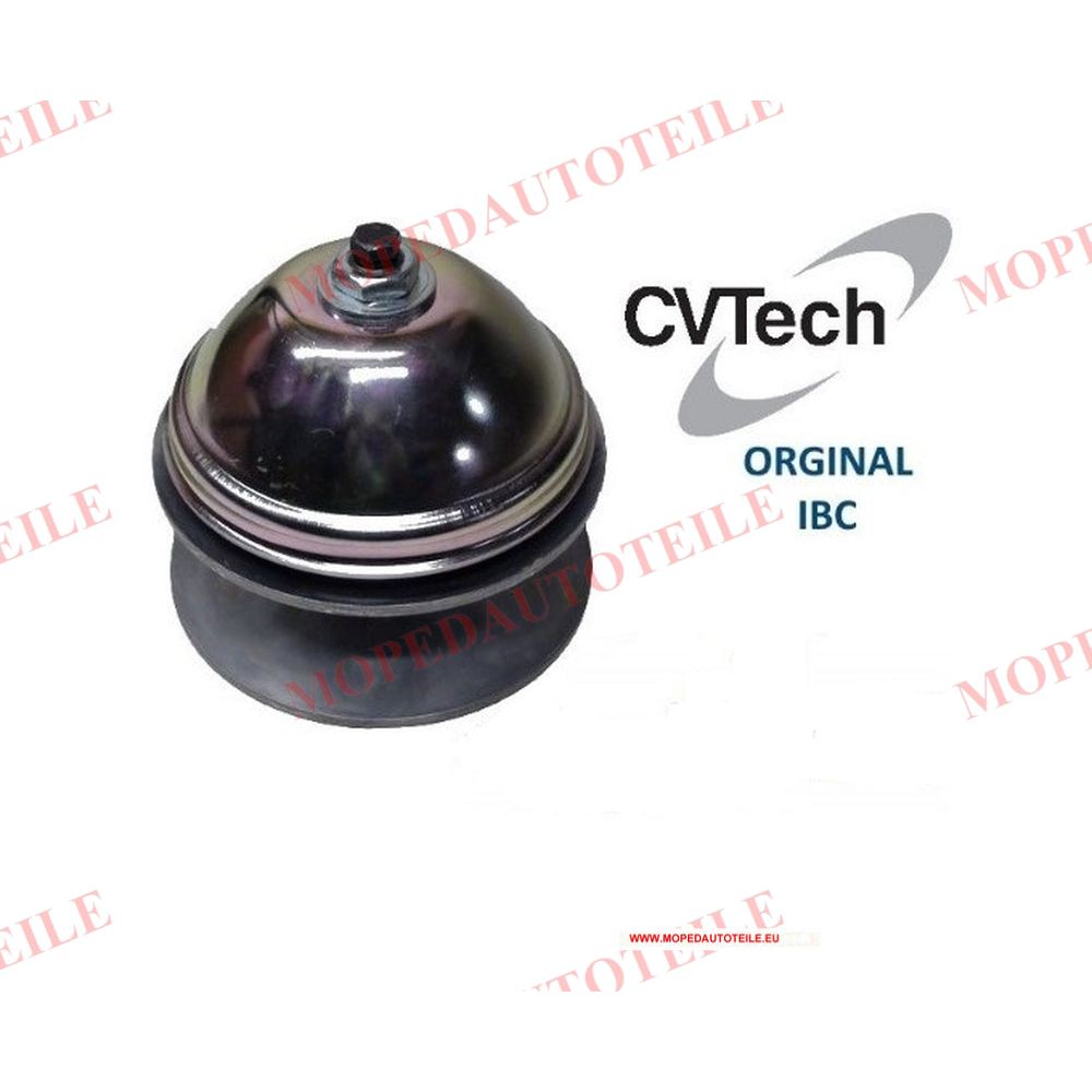 Vario Motorseite IBC 2e Modell Aixam Original