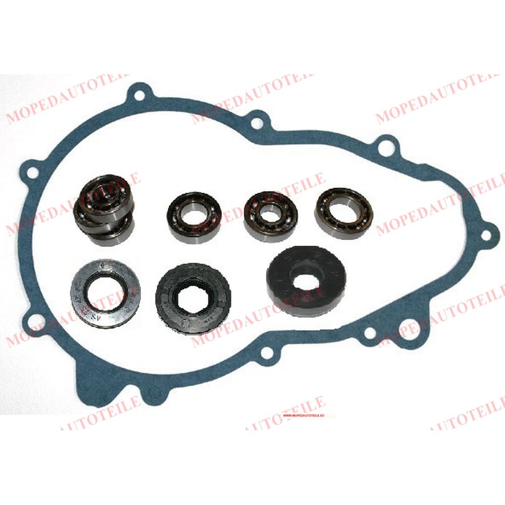 Overhaul kit gearbox (gearbox) Stilfreni Microcar (MGO1/MGO2)