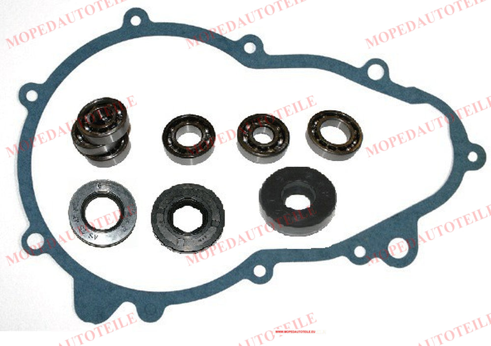 Overhaul kit gearbox (gearbox) Stilfreni Microcar (MGO1/MGO2)