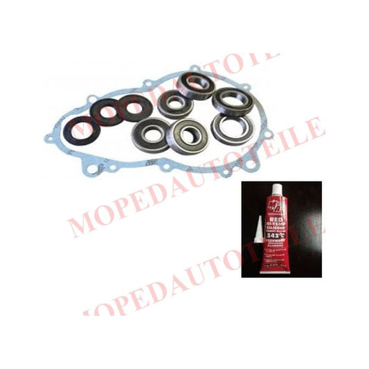 Overhaul kit gearbox (gearbox) Stilfreni Ligier/JDM/Bellier