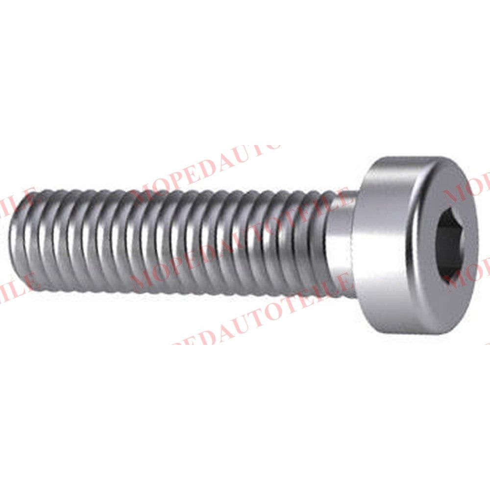 Screw brake disc lock (Microcar/Ligier/Chatenet/JDM) front 