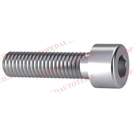 Screw brake disc lock (Microcar/Ligier) rear 