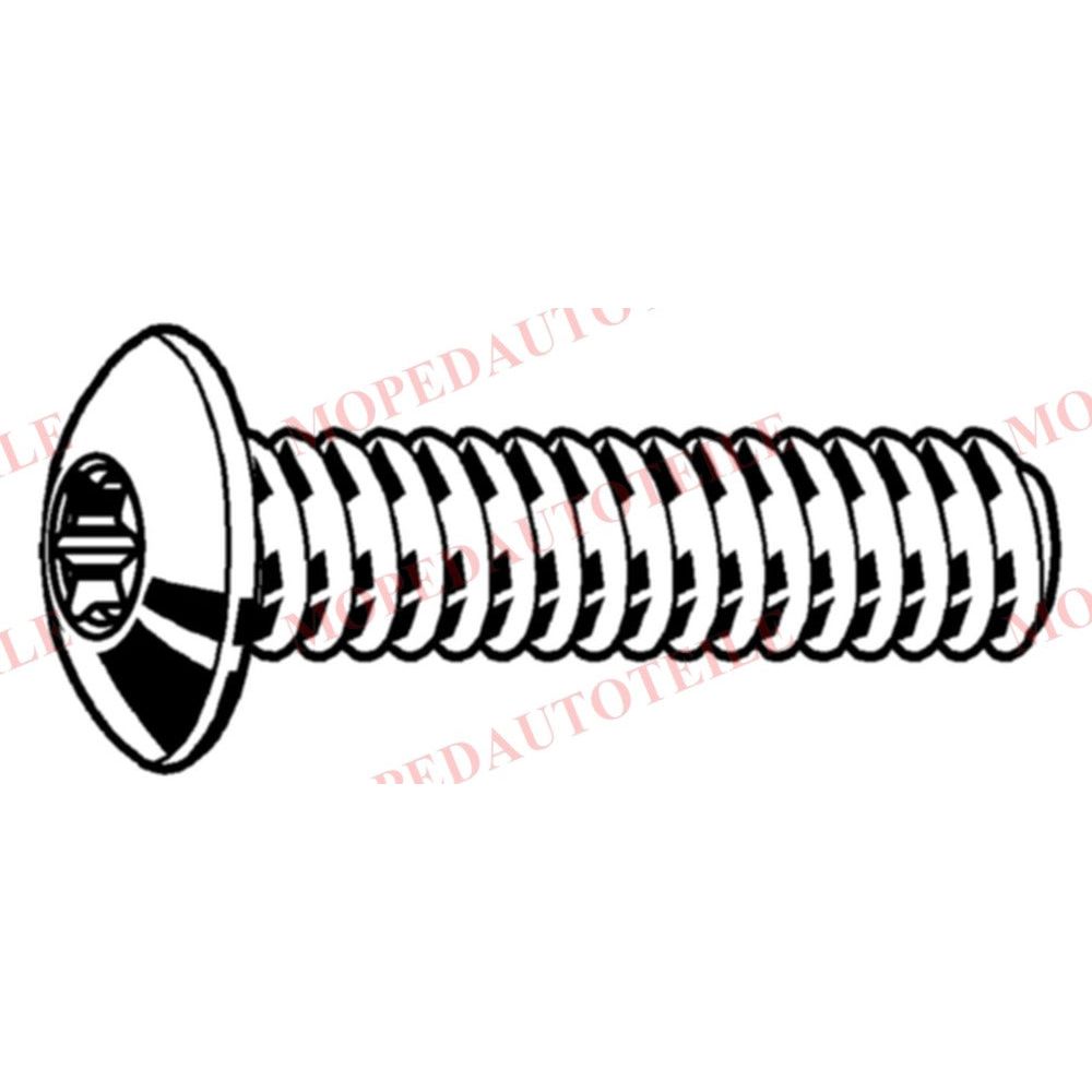 Screw brake disc lock Microcar/Ligier
