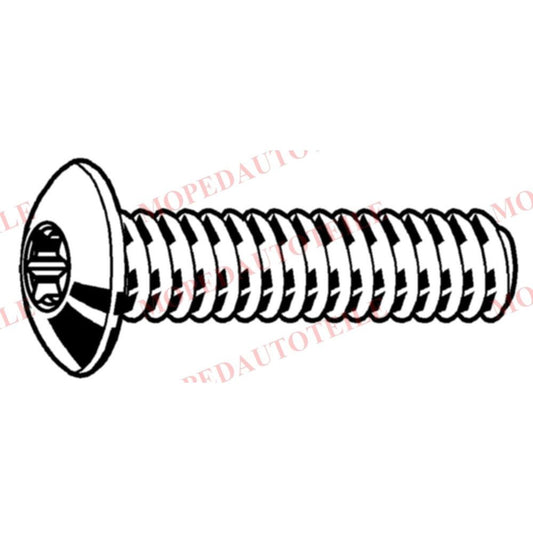 Screw brake disc lock Microcar/Ligier